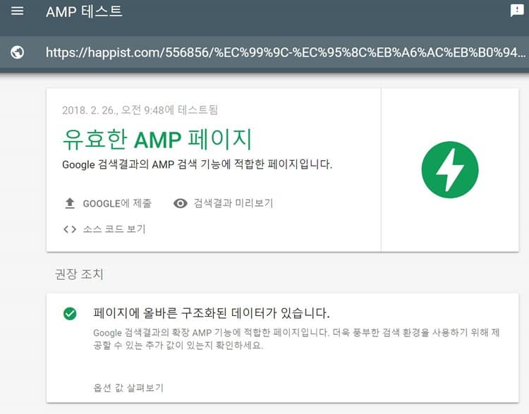 AMP 테스트 결과 _ 유효한 AMP 페이지