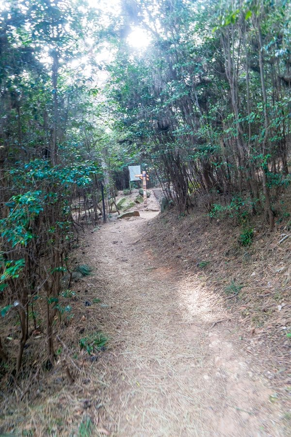 산타페 TM과 함께 벚꽃이 만발하던 어느 봄날의 부산 여행 46 부산여행_문탠로드-2763