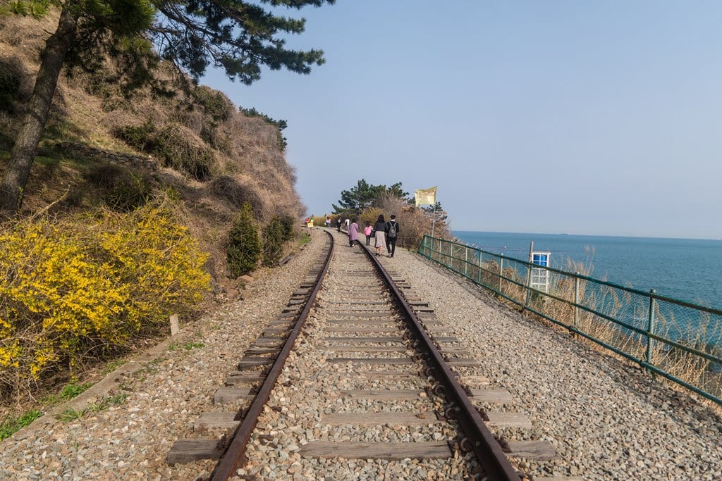 산타페 TM과 함께 벚꽃이 만발하던 어느 봄날의 부산 여행 45 부산여행_미포 청산포 철길 바다가 보이는 철길을 걷다-2743