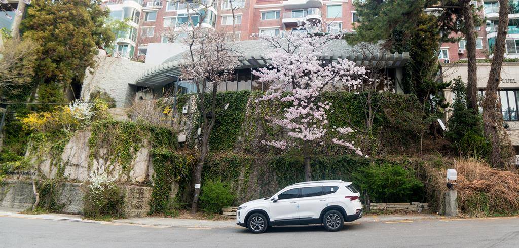 산타페 TM과 함께 벚꽃이 만발하던 어느 봄날의 부산 여행 29 부산여행을 함께한 산타페 TM-3176