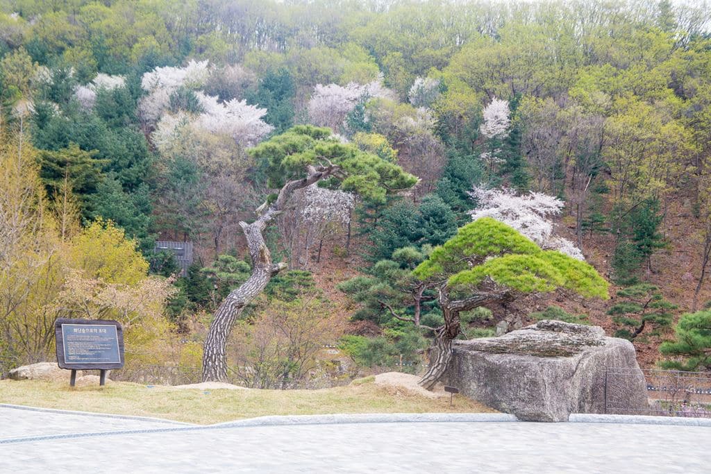 화담숲 입구 소마무