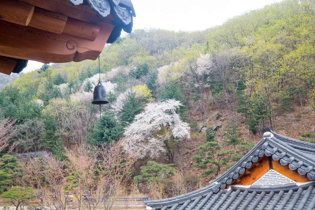 화담숲 한옥 주점