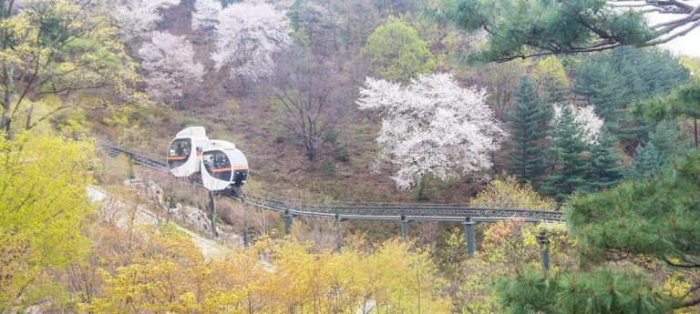 [경기여행]가는 봄의 끝자락이 아름다웠던 곤지암 화담숲 산책 이야기