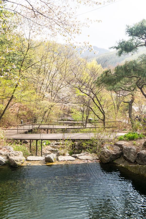 화담숲 반디불이원 근처 산책길