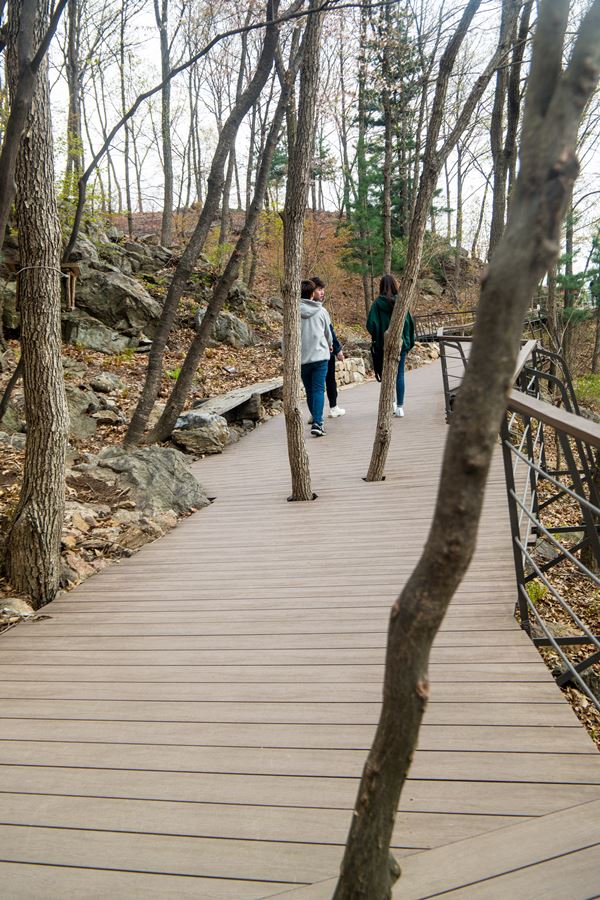 화담숲 새이야기길 나무데크로 만들어진 산책길 풍경