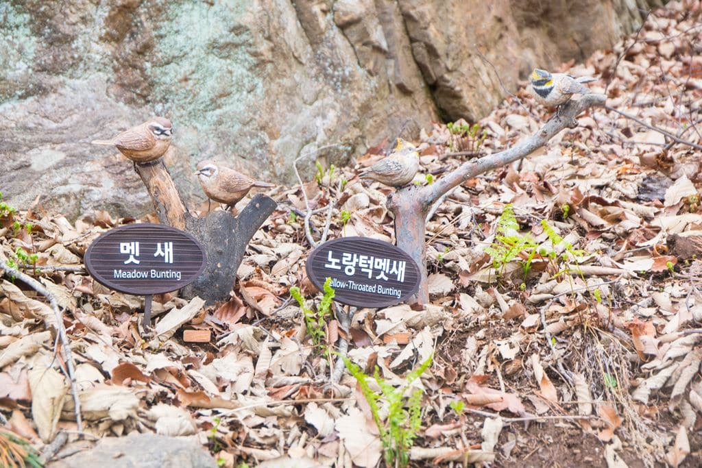 화담숲 새이야기길에서 만나 맷새 모형