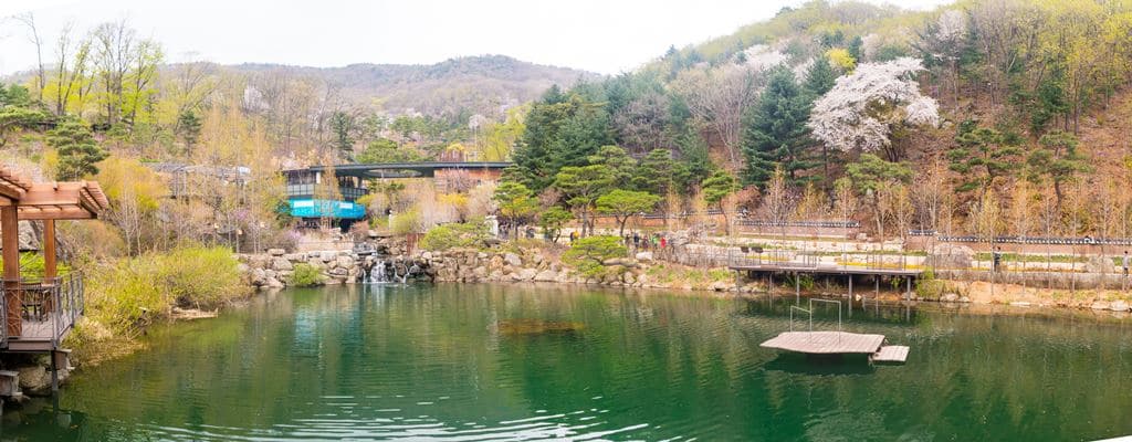 화담숲_원앙연못에서 바라본 화담숲