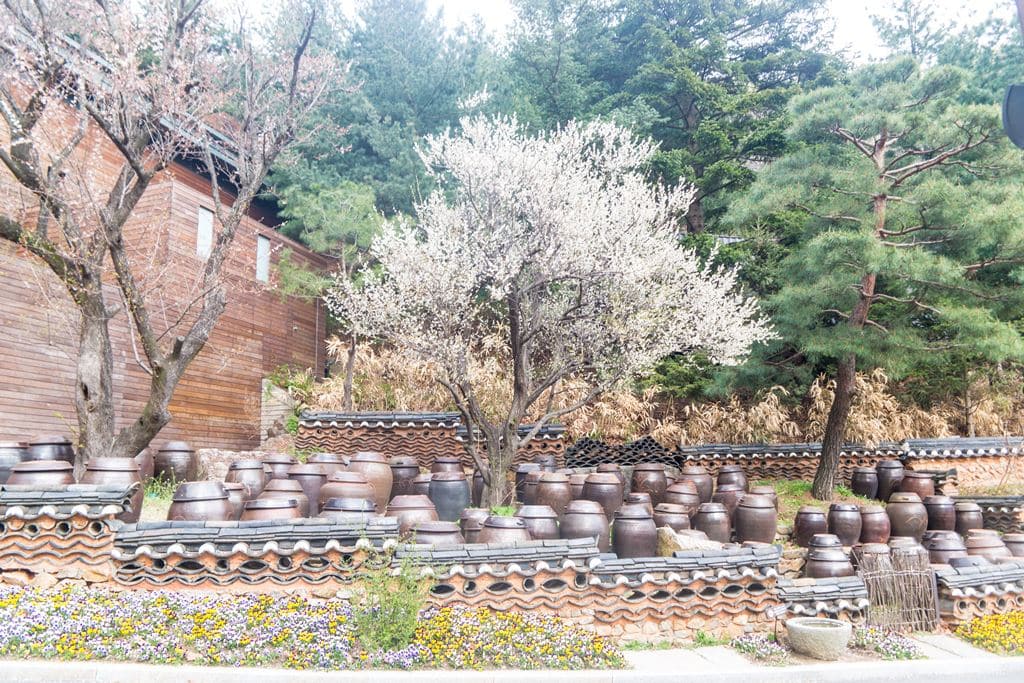 화담숲 산책 끝무렵에 만나는 장독대 풍경