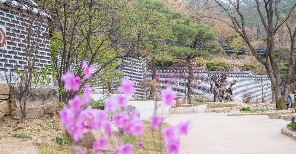 화담숲_전통담장길