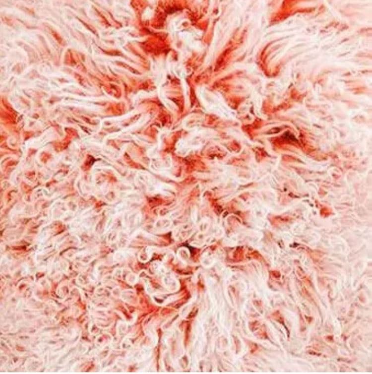 올버즈 핑크 울 이미지 Allbirds Wool image