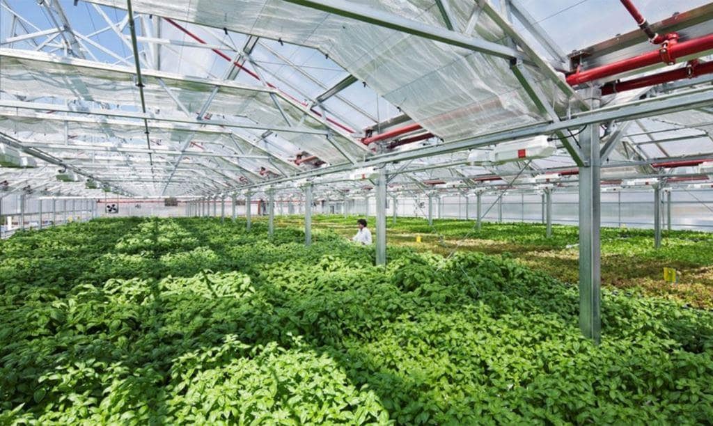 시카고 Method Products 제조 공장 옥상 농장 Method-Chicago-Gotham-Greens-worlds-largest-greenhouse