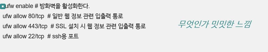 마크다운 에디터(Markdown editor)에서 코드 삽입 결과