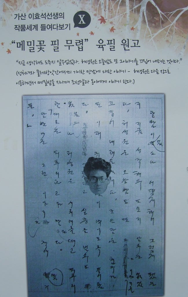 이효석문학관_메밀꽃 필무렵 육필 원고