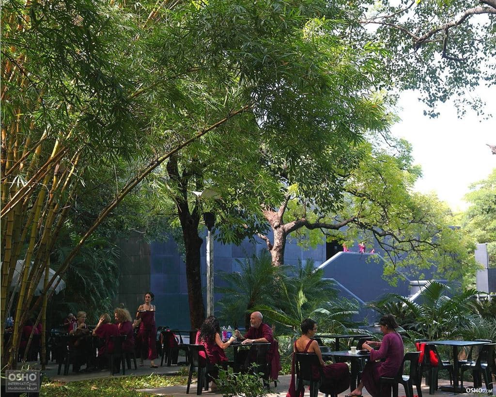 트립어드바이저(tripAdvisor) Rajneeshi Osho International Meditation Resort, Image - OSHO