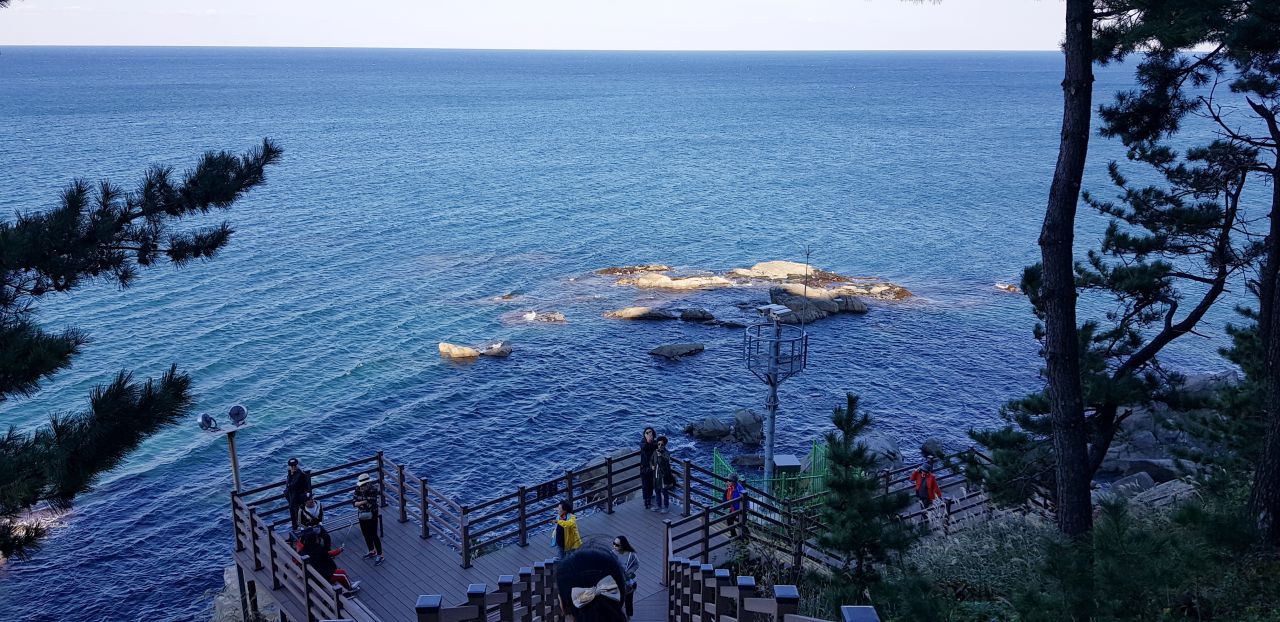 속초 외옹치 둘레길(바다향기로) 데크