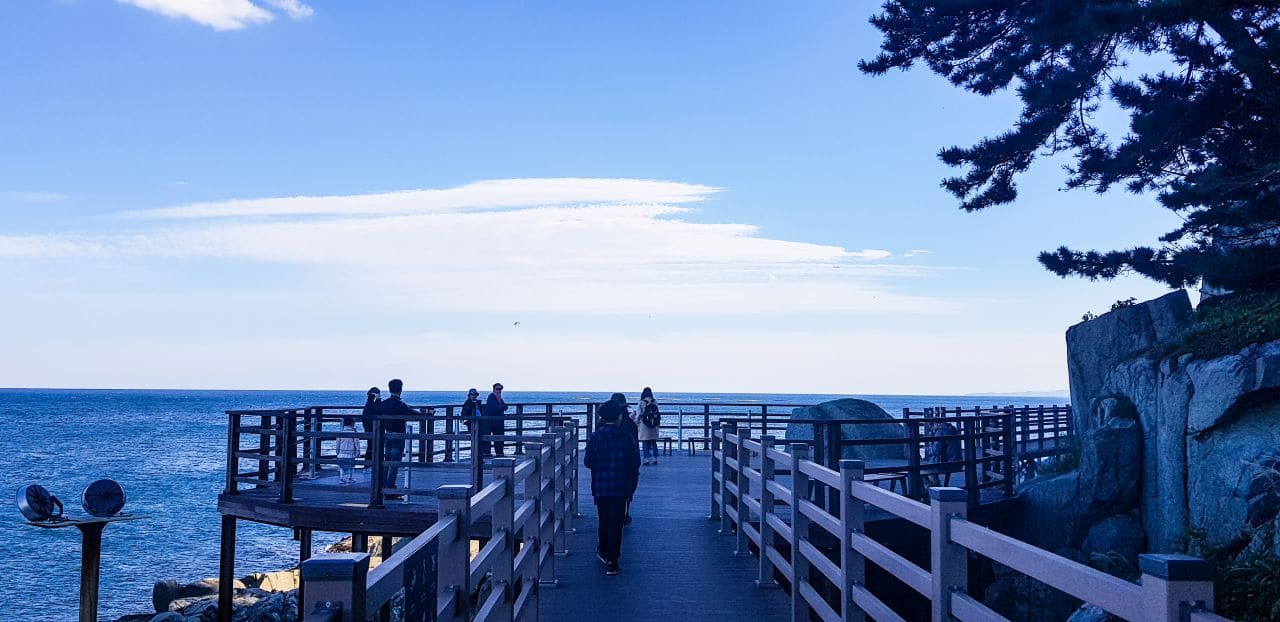 속초 외옹치 둘레길(바다향기로) 데크2