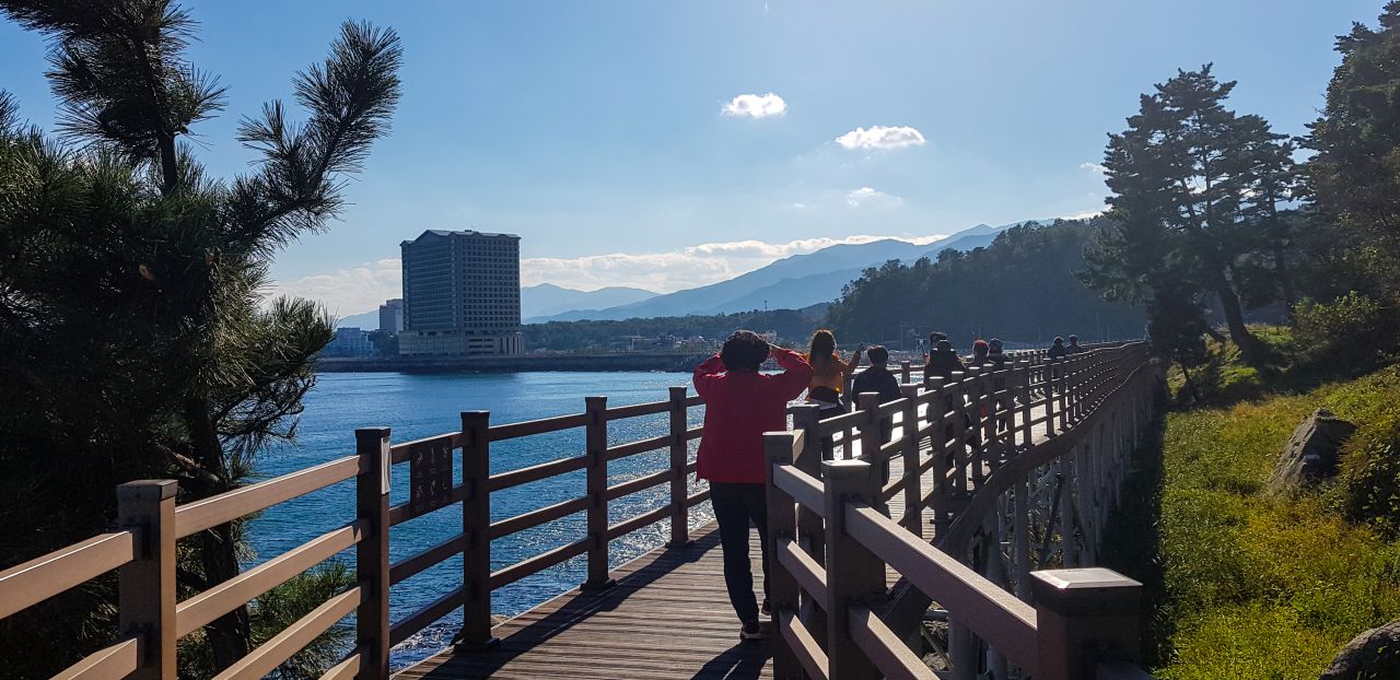 속초 외옹치 둘레길(바다향기로) 데크에 바라본 외옹치항 방면 풍경