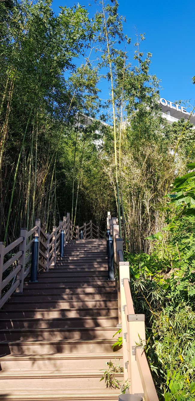 속초 외옹치 롯데리조트에서 외옹치 둘레길(바다향기로) 외옹치항 방면으로내려가는 길-150958