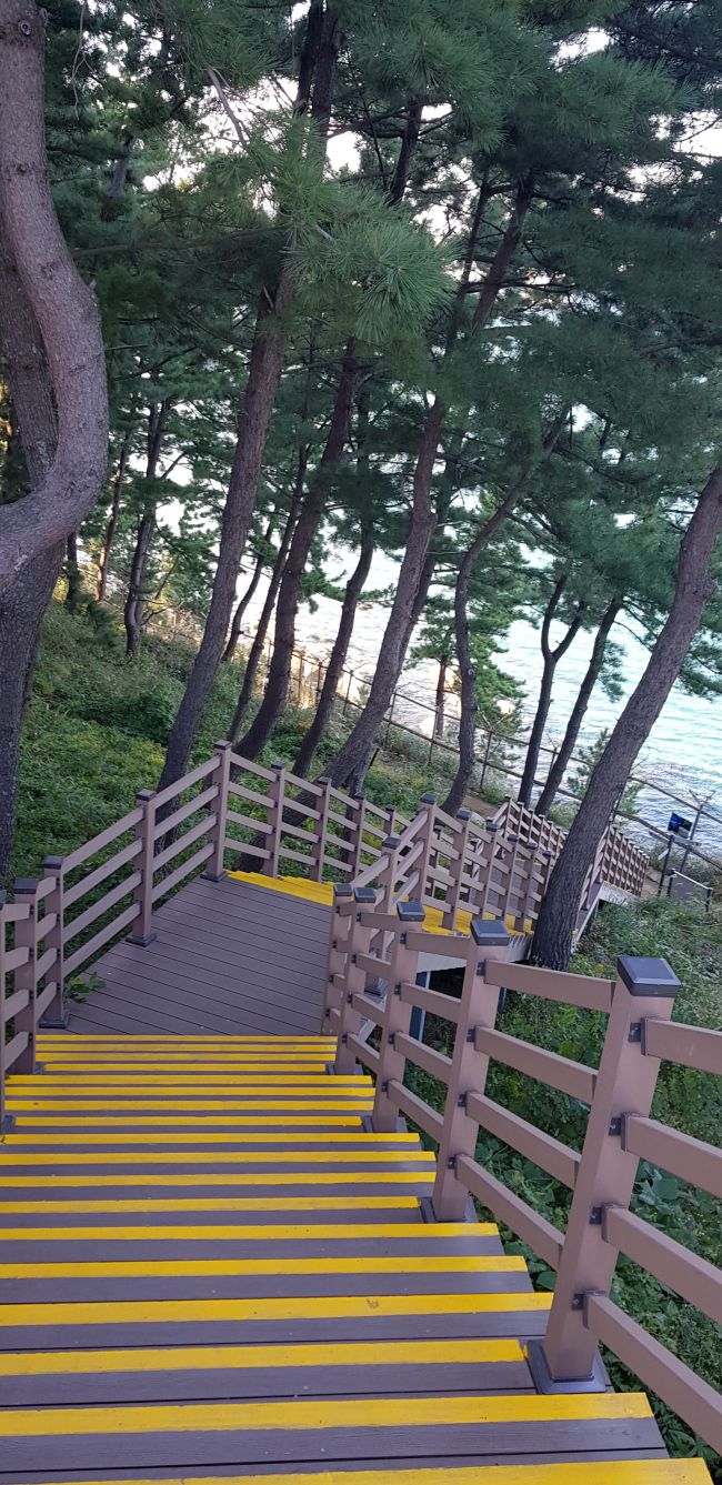 속초 외옹치 롯데리조트에서 외옹치 둘레길(바다향기로)로 내려가는 계단