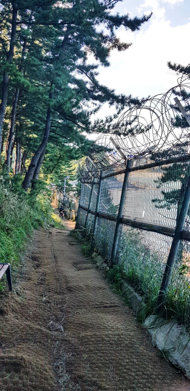 속초 외옹치 외옹치 둘레길(바다향기로)에서 만날 수 있는 철책