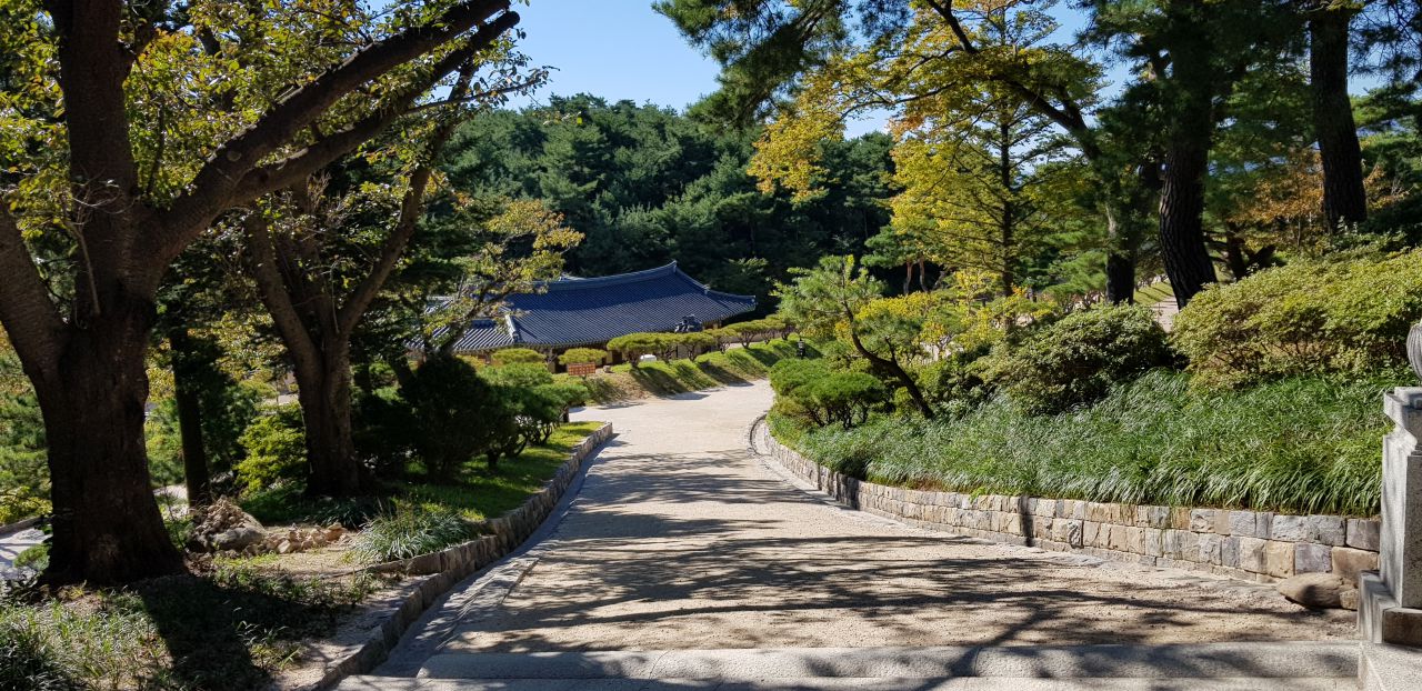 양양 낙산사 경내, 입구 홍예문에서 사천왕문으로 향하는 길의 아름들이 나무가 있는 길 풍경