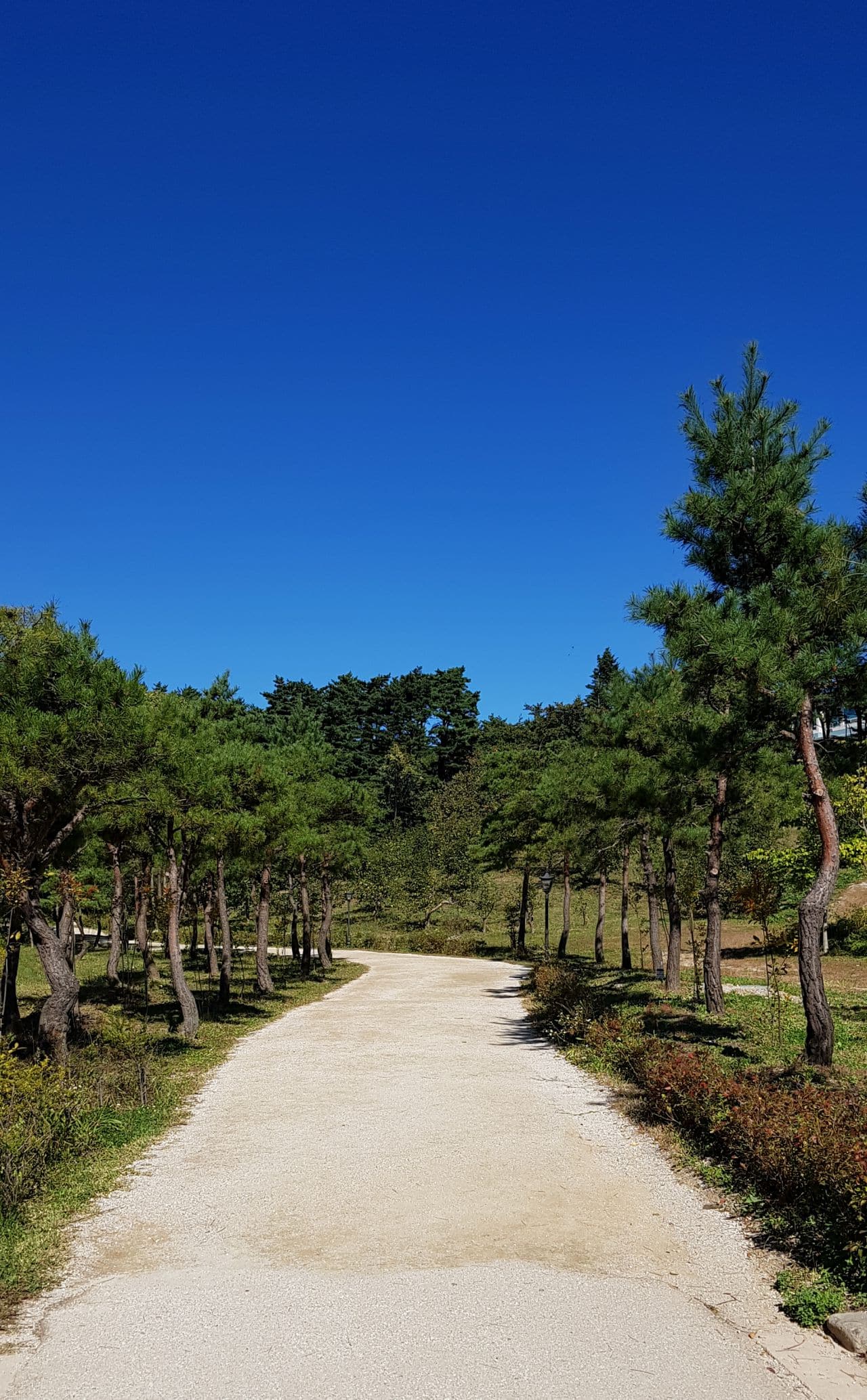 양양 낙산사 주차장에서 낙산사로 가는 길-101946