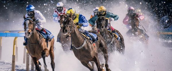 눈밭에서 펼쳐지는 말경주 Horse race in Sankt Moritz called White Turf. It take place every year on the iced, Image - pietro mattia