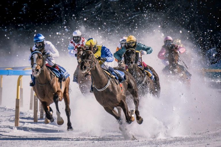 눈밭에서 펼쳐지는 말경주 Horse race in Sankt Moritz called White Turf. It take place every year on the iced, Image - pietro mattia