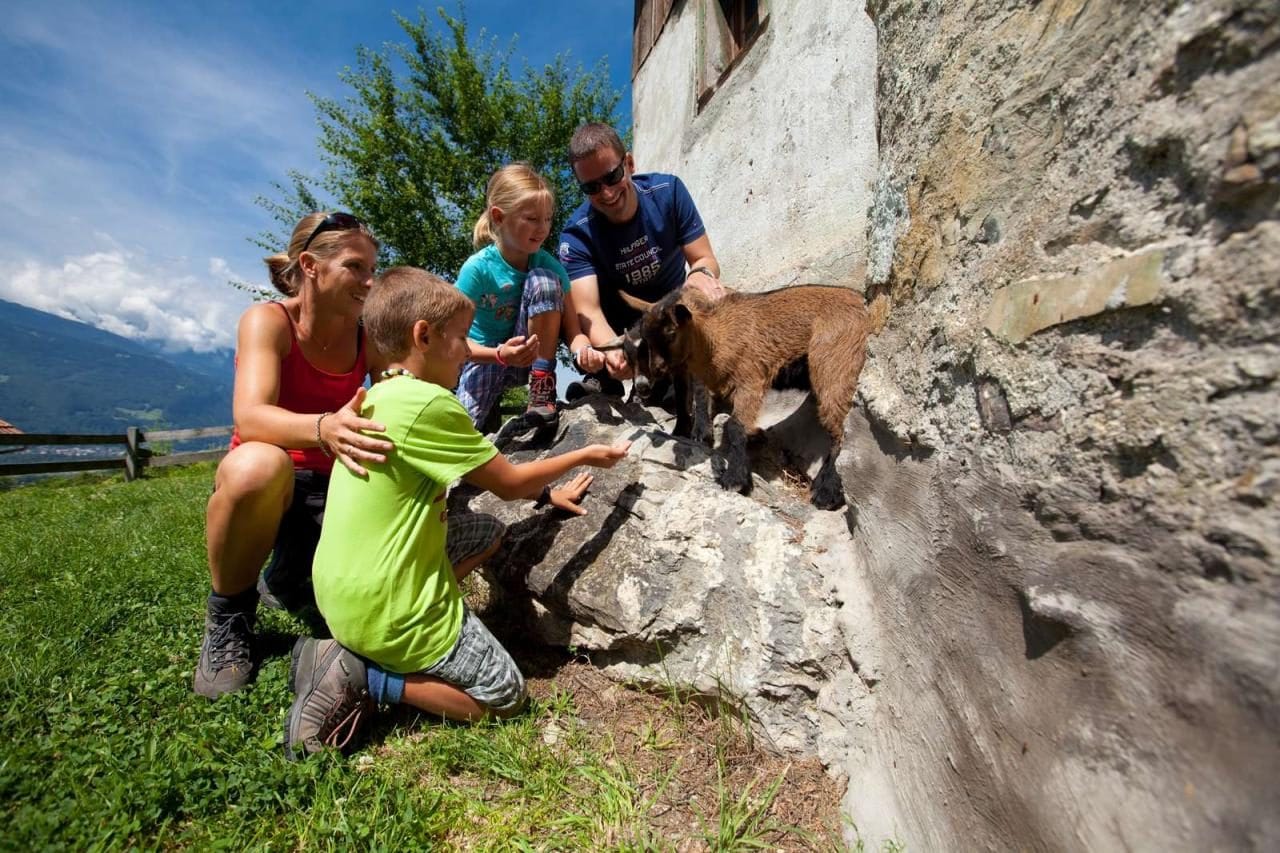 소설속 알프스 소녀 하이디 마을을 현실로 만든 스위스 마이엔펠트(Maienfeld)의 관광 마케팅 4