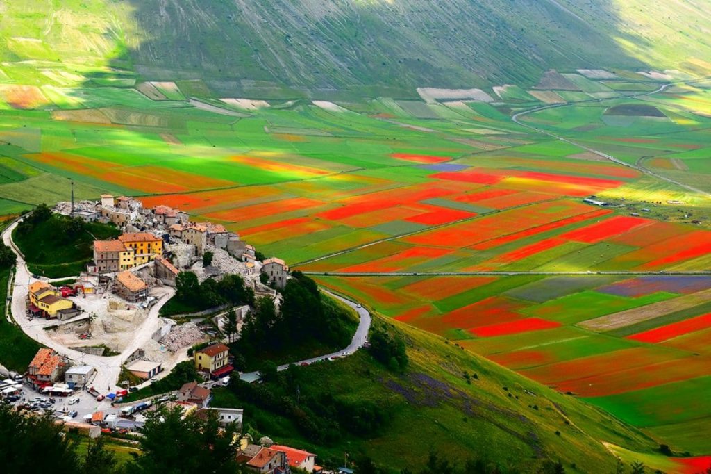 이탈리아 카스텔루치오 디 노르차(Castelluccio di Norcia) 꽃밭 풍경, Image - Umbria24
