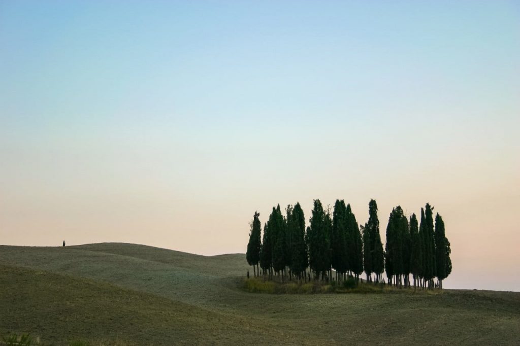 이탈리아 투스카니 발도르시아(Val d'Orcia), Val d'Orcia, Pienza, Italy, Image - holger-link