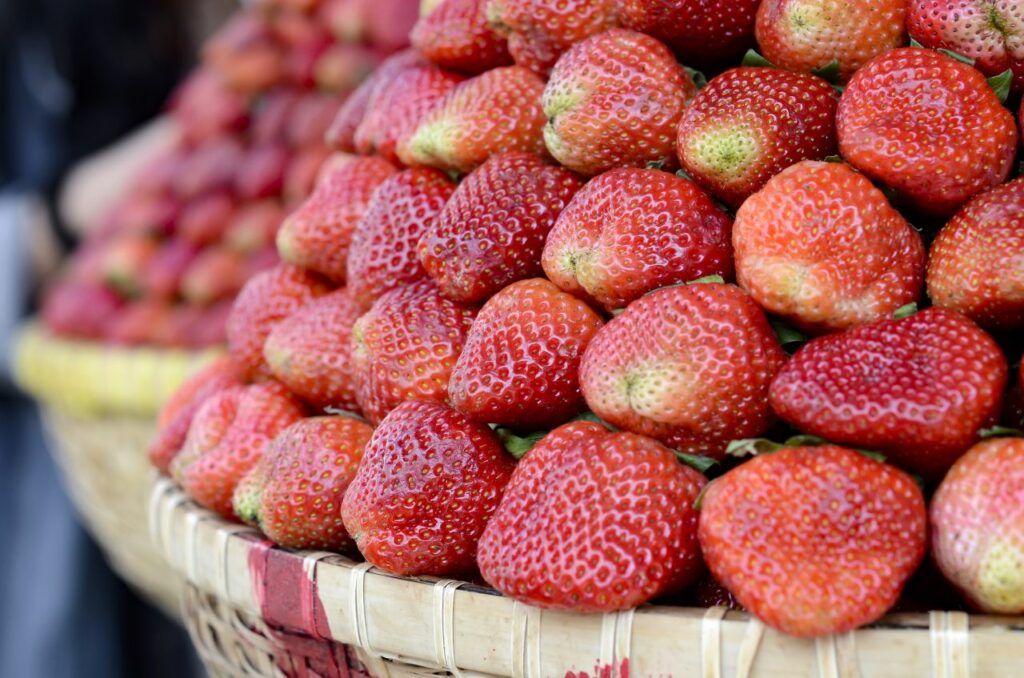베트남 달라의 딸기, strawberries Dalat, Image by truongmad