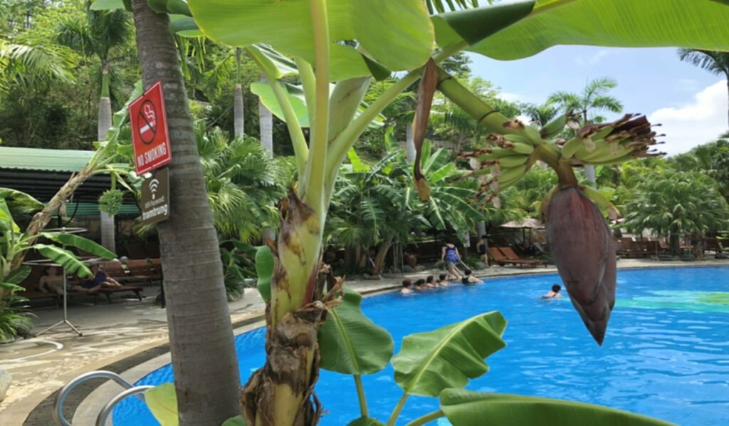 베트남 나트랑 100 에그머드 온천(100 Eggs Mud Bath)