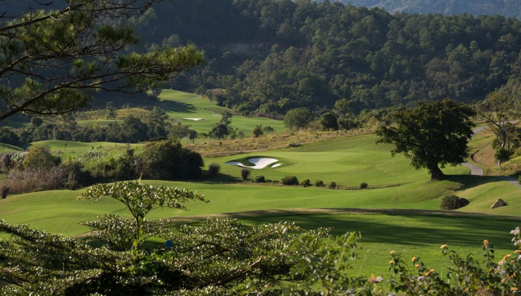 달랏 1200CC(The DALAT AT 1200) 필드 풍경 13