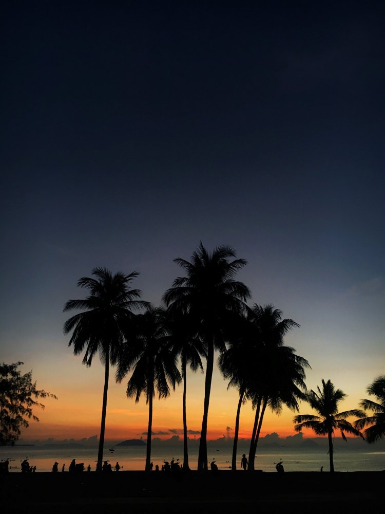 [베트남 여행] 동양의 나폴리, 나트랑을 제대로 즐기는 방법 10