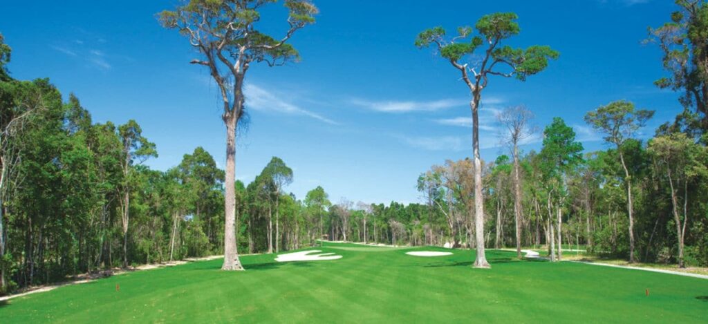 푸꾸옥 빈펄 골프장(Vinpearl Golf Phu Quoc) 아름들이 나무가 있는 코스 풍경