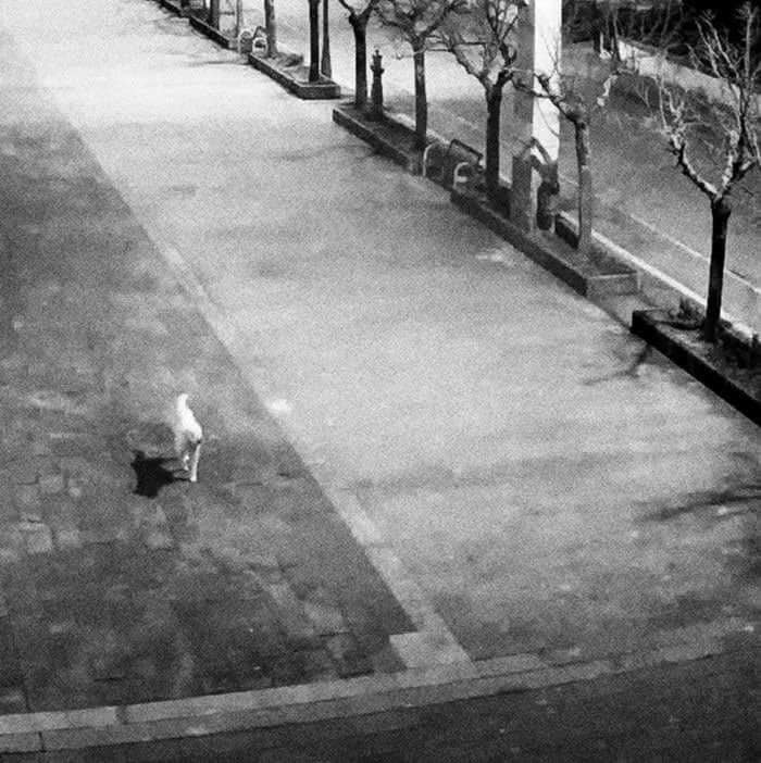 유발 하라리 경고, 코로나19 이후의 세계를 좌우할 2가지 선택 4