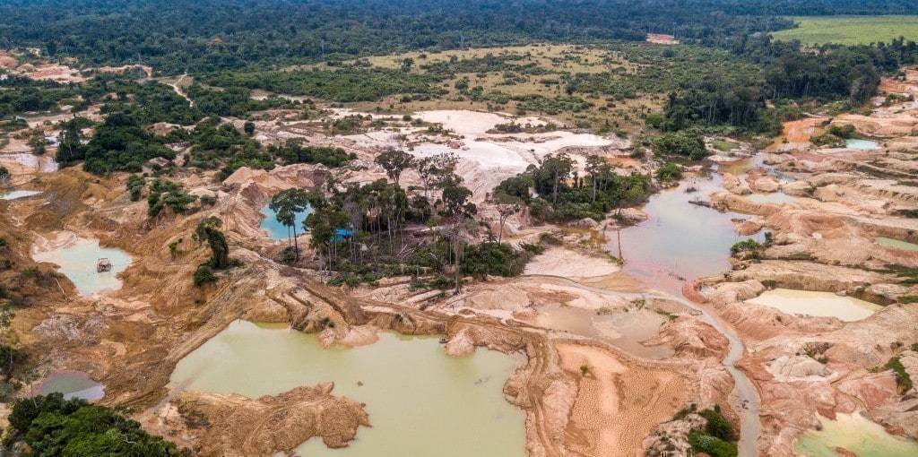 코로나 이후 변화 - 인간 자연 황폐화로 코로나19와같은 전염병이 창괄하게 되었다