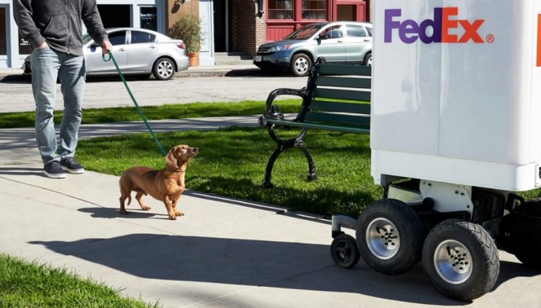 페덱스 록소(Roxo)가 배송하는 모습 그리고 어린이, Image from Fedex