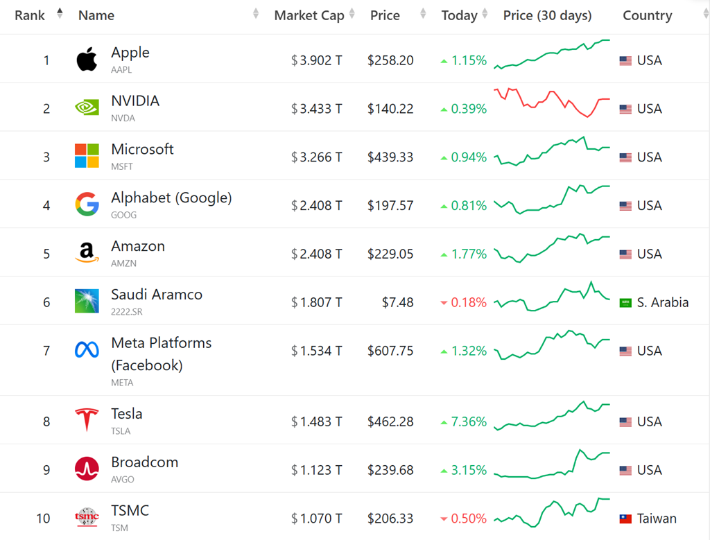세계 시가총액 Top 10 2024-1226