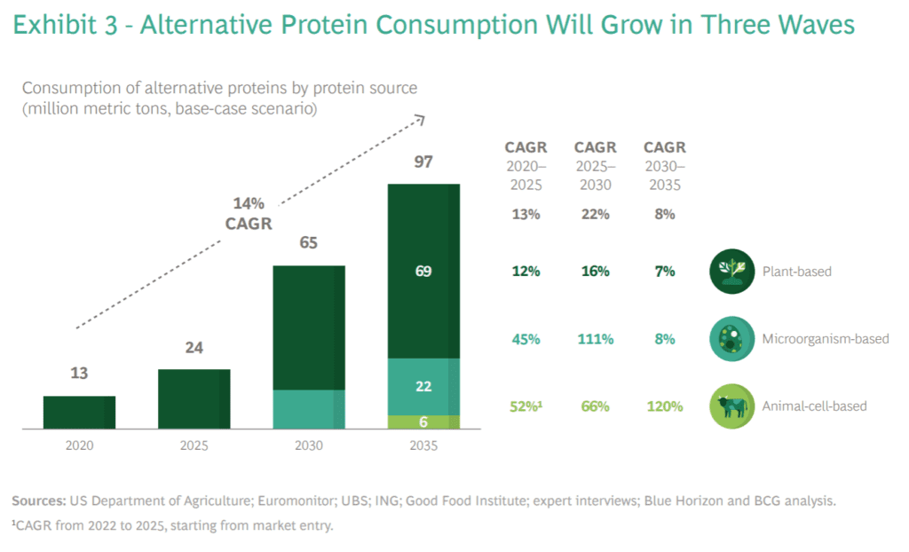 대체육 시장 전망과 임파서블푸드와 비욘드미트 경쟁력 비교 60 BCG 대체육 시장 전망