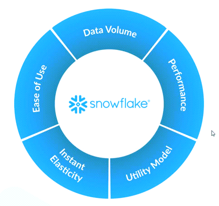 스노우플레이크 비즈니스 모델 특징, Image form snowflake