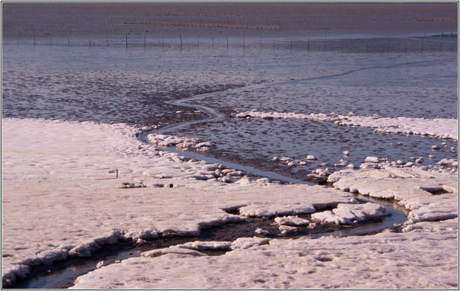 [남도여행]순천만에서 아름다운 낙조를 만나다.. 25