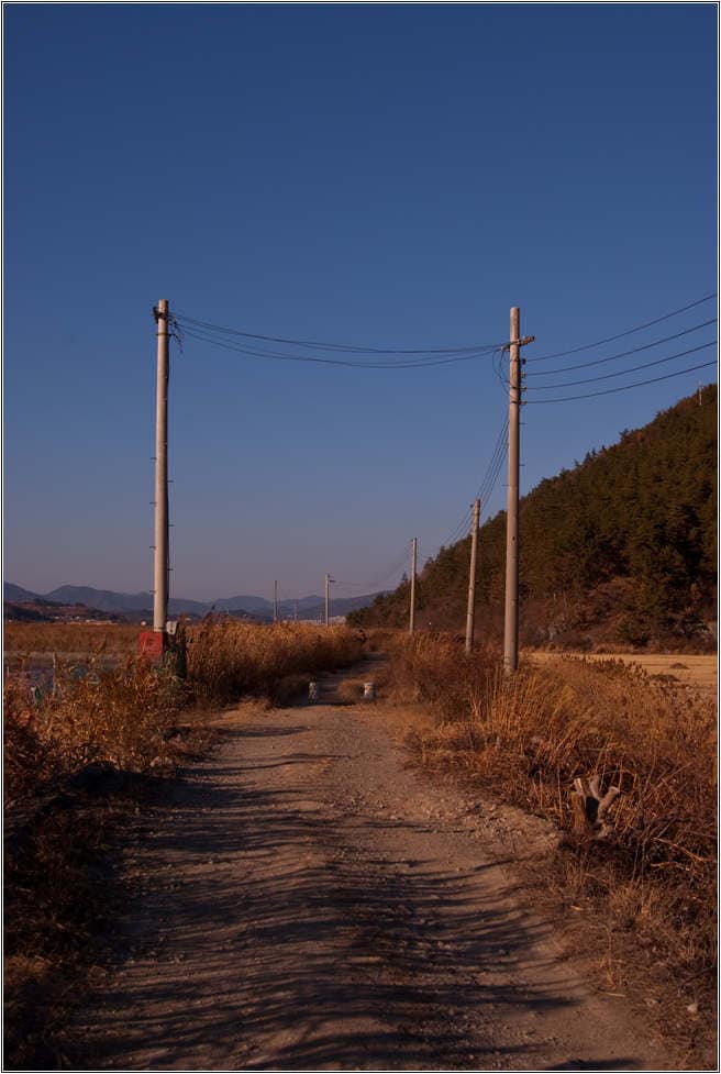 순천만 용산전망대 가는길