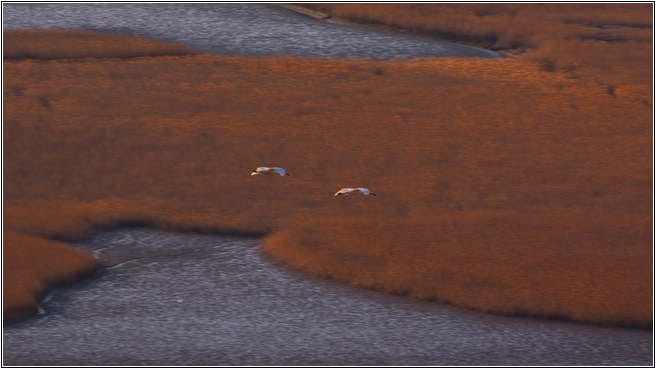 [남도여행]순천만에서 아름다운 낙조를 만나다.. 29