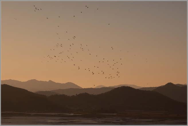 [남도여행]순천만에서 아름다운 낙조를 만나다.. 31
