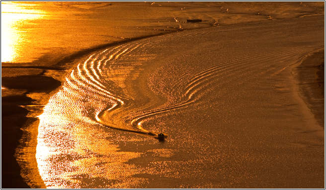 [남도여행]순천만에서 아름다운 낙조를 만나다.. 33