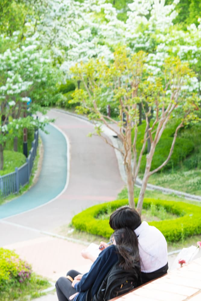 이팝나무가 이뻤던 5월 동백호수 풍경 10 이팝나무가 이뻤던 5월 동백호수 풍경 10