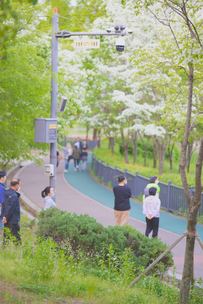 이팝나무가 이뻤던 5월 동백호수 풍경 8 이팝나무가 이뻤던 5월 동백호수 풍경 8