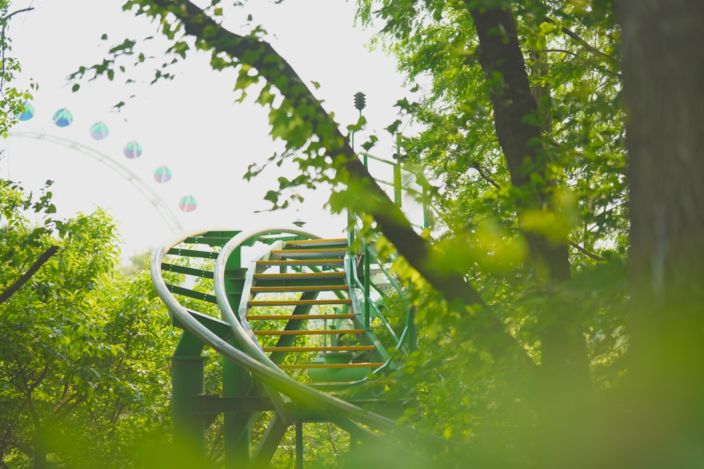 팬데믹이후 다시 열린 에버랜드 장미축제, 에버랜드 장미를 담아보다. 24 팬데믹이후 다시 열린 에버랜드 장미축제, 에버랜드 장미를 담아보다. 14